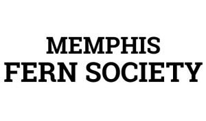 Memphis Fern Society Logo